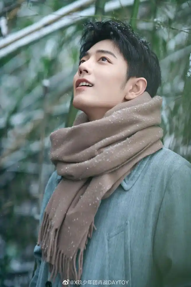 肖战竹林赏雪笑容温暖治愈