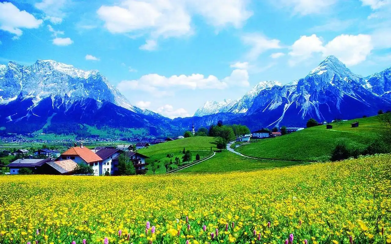 清新护眼绿色风景图片高清壁纸