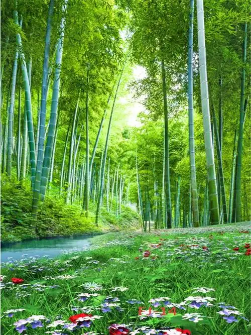 间主播装饰快手抖音背景墙外景山水风景3d背景布黑色宽15高2米写真布