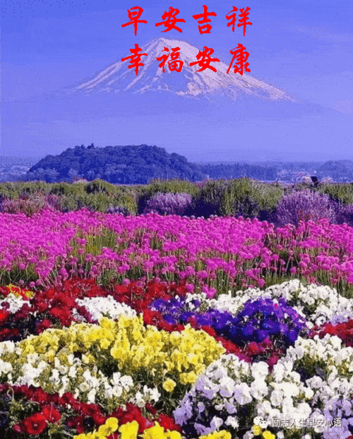 好运到晨风拂来,烦恼消晨光满面,精神好晨鸣声声,清头脑周末到,早上好