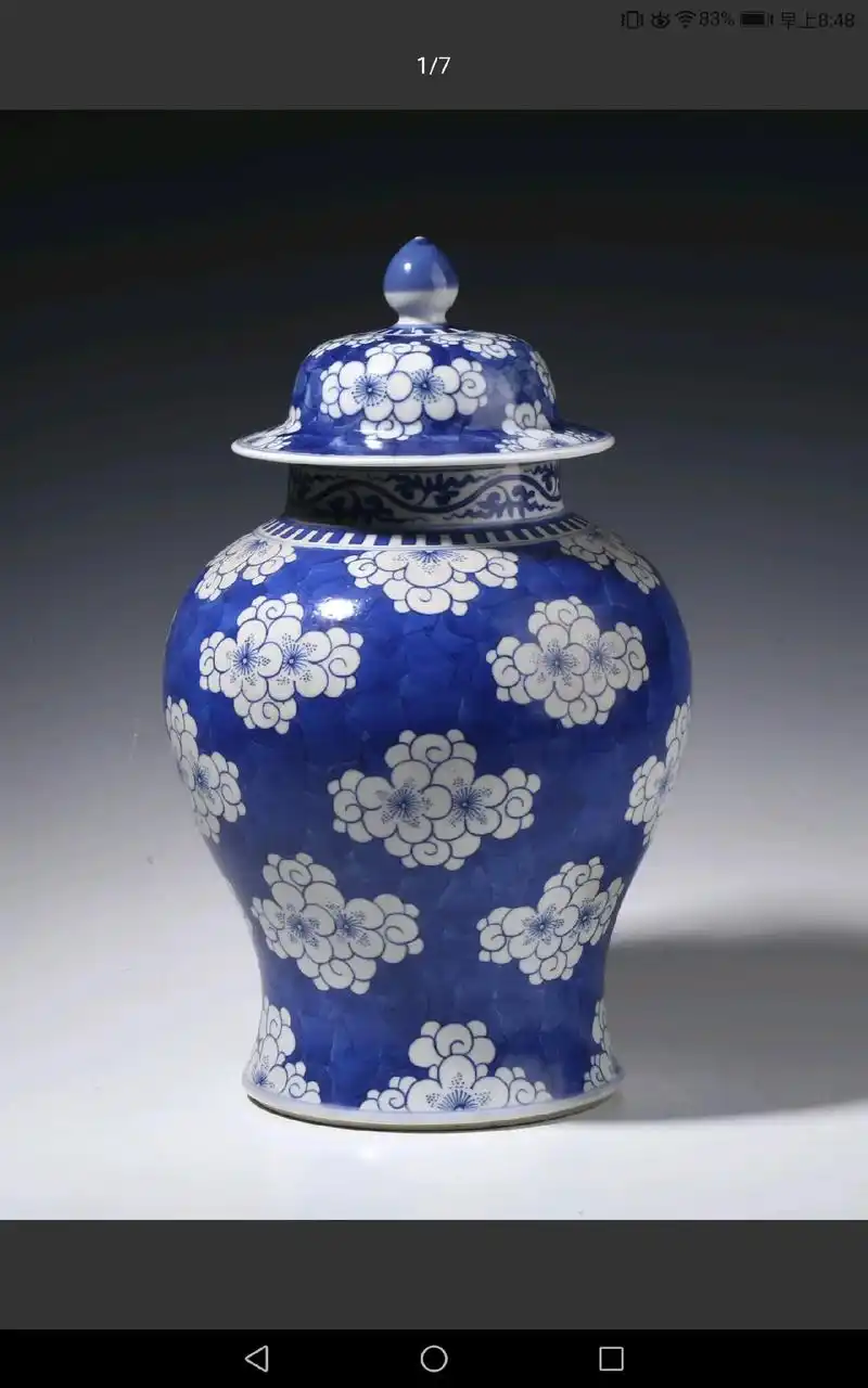 清代光绪,青花留白冰梅纹将军罐! - 抖音