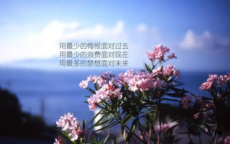 梦想励志文字电脑壁纸