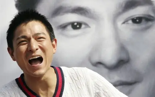 刘德华高清电脑桌面壁纸(1920×1200分辨率29张)(3)