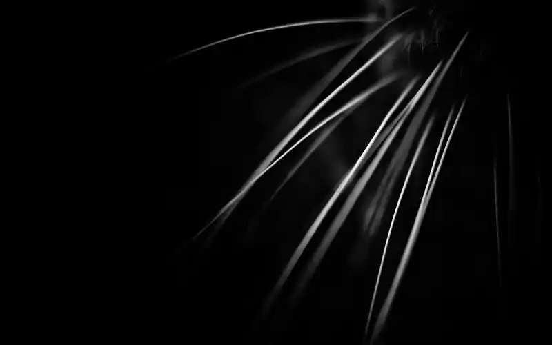 空景i的收藏夹 - 站酷 (zcool)