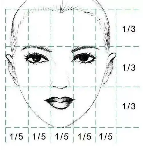 什么是三庭五眼