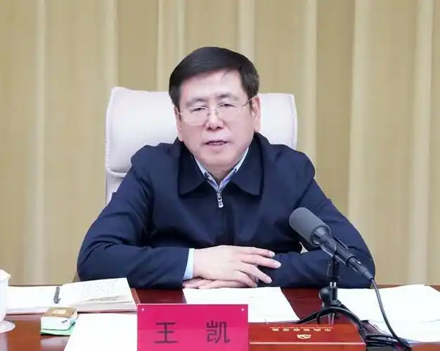 王凯:总结成绩,发扬优势,凝聚合力,推动退役军人事务工作不断迈上新