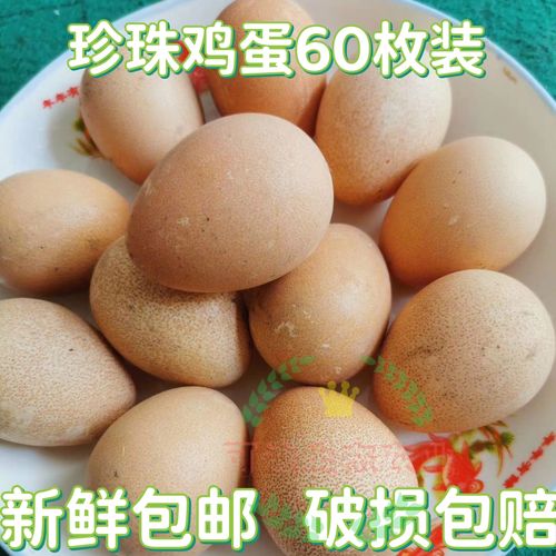 珍珠鸡蛋 食用蛋 撞蛋 蛋壳坚 硬宝宝辅食孕妇儿老人学生补钙专家