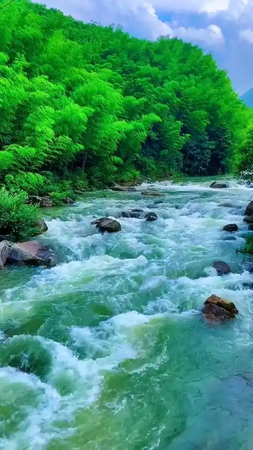 不谈世事无常,只祝人间事事顺心,健康快乐,幸福平安!