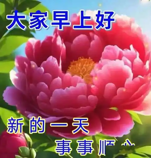 早上好,精选早安问候语暖心图片带字带祝福语_平安_人生_开心