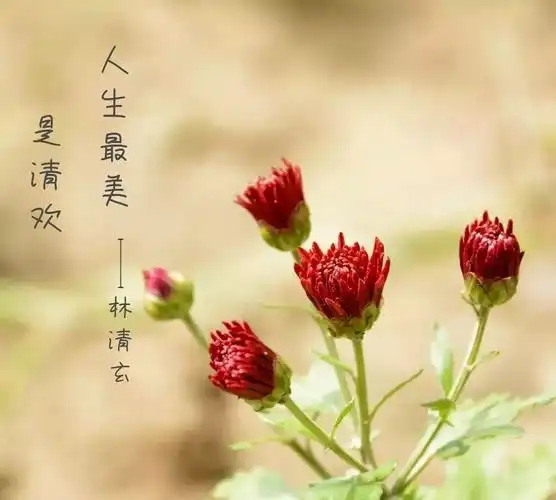 发朋友圈触动心灵的人生哲理唯美语录 经典入心|人生|点儿|雅意_新浪