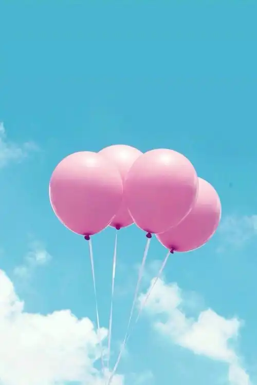 小清新意境 - 堆糖,美图壁纸兴趣社区