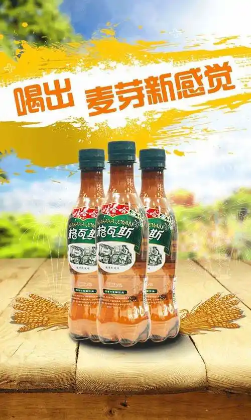 娃哈哈格瓦斯碳酸饮料330ml600ml瓶整箱麦芽汁俄罗斯风味格瓦斯600ml7