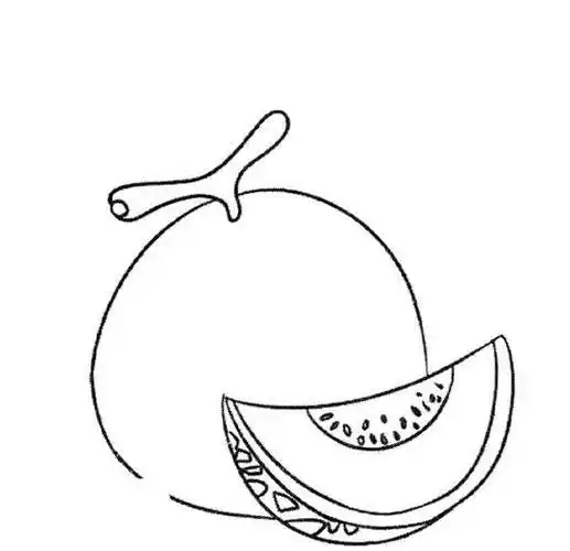 哈密瓜简笔画 哈密瓜简笔画图片彩色