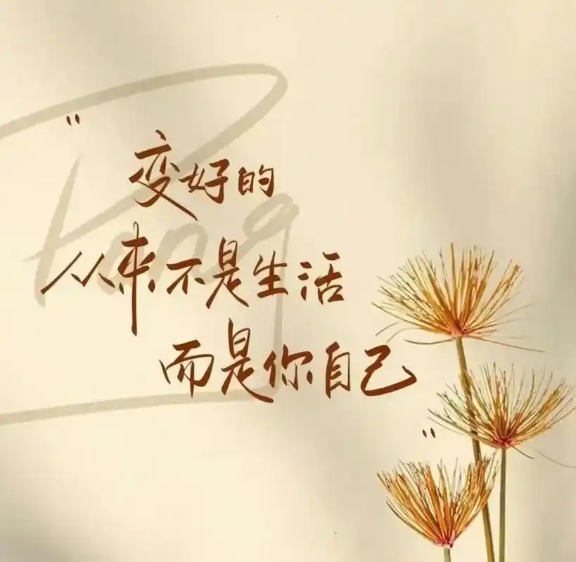 努力是为了遇见更好的自己 - 抖音