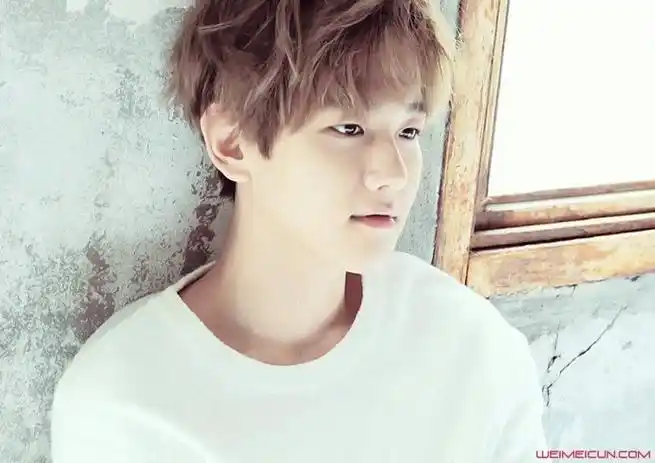 姜涩琪和边伯贤什么关系 边伯贤摸姜涩琪头发图好暖心 边伯贤和irene