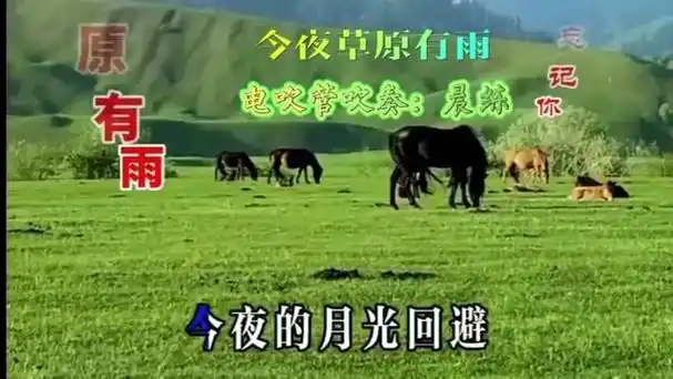 今夜草原有雨