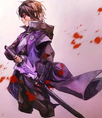 年仅十五就成为暗影刺客