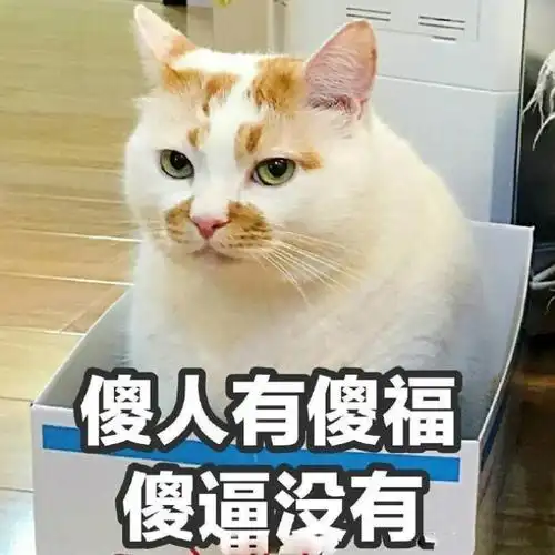 热门图片(今日份热门斗图表情包29张)