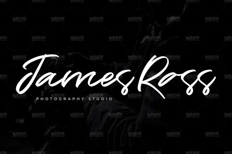 英文签名手写字体16素材网精选 destiny script font