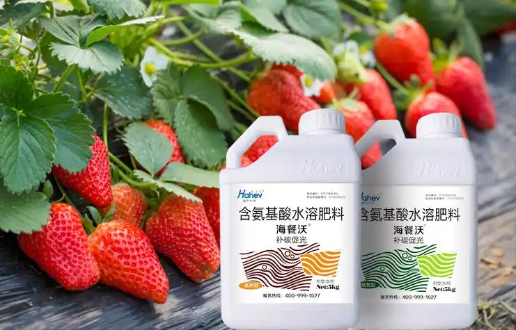 海和威海洋类水溶肥来自大海的馈赠