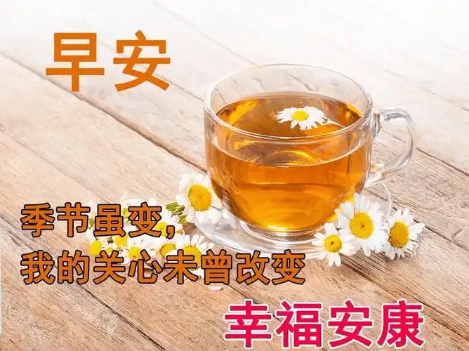 9张清晨创意唯美亲人朋友早上好祝福语图片大全 清晨友谊早安问候语