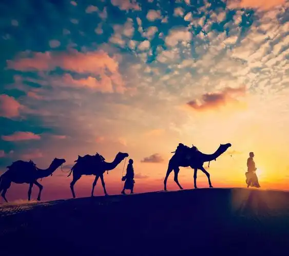 天天快乐,身体健康