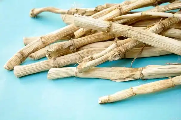 白茅根的生长环境和功能