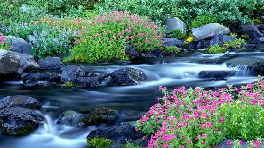 山涧流水 风景壁纸 风景图片大全 风景桌面壁纸大全 免费风景高清壁纸