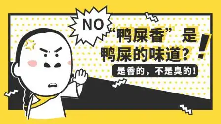 鸭屎香是鸭屎的味道吗那不是很臭