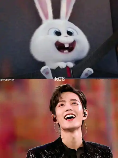 肖战到底有多想兔子_兔子_肖战_影视_明星娱乐资讯