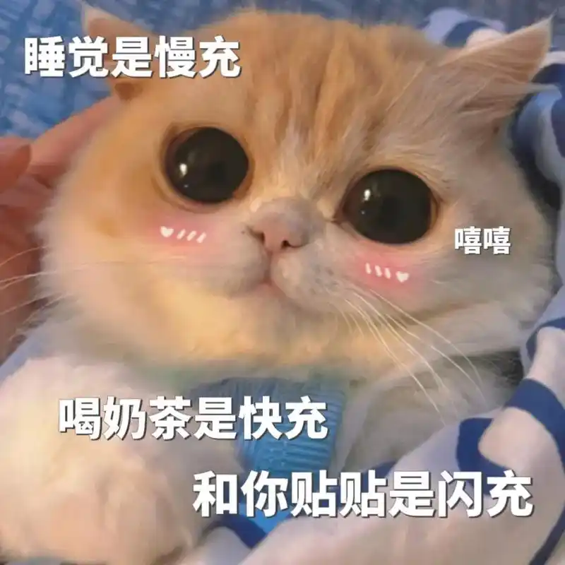 睡觉是慢充,喝奶茶是快充,和你贴贴是闪充#猫咪表情包 #表情 - 抖音