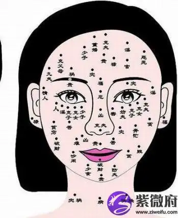 女人面相算命分析