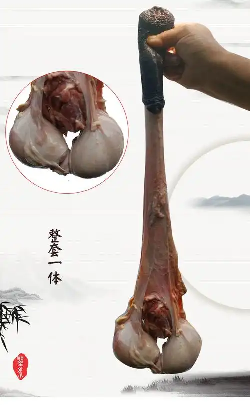 新鲜生驴鞭带蛋现杀特大驴鞭整套男用泡酒金钱肉驴肉生鲜小套带蛋14斤