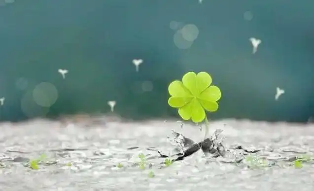 代表幸运和希望的图片,幸运女神图片唯美-528时尚网