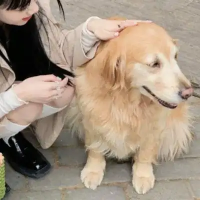 真人对象不是人系列情侣头像图片 最新小众精致的情头图片合集_情侣