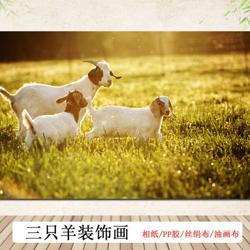 三阳开泰挂画客厅画沙发背景墙卧室挂画三只羊风水贴墙画装饰画