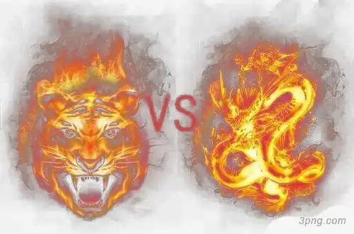 龙虎火焰png素材透明免抠图片装饰效果
