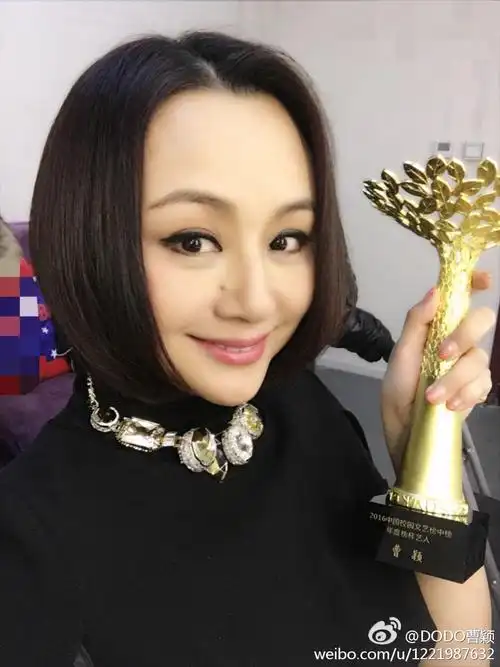 曹颖王斑怎么认识的曹颖现在的样子照片