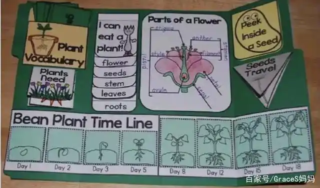 和孩子一起自制翻翻书,整理归纳孩子所学知识的好帮手