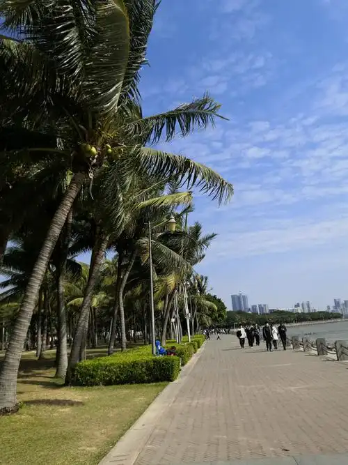 2021年深圳湾公园观候鸟