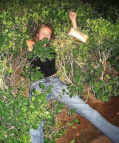 醉酒后的女人伤不起(组图)