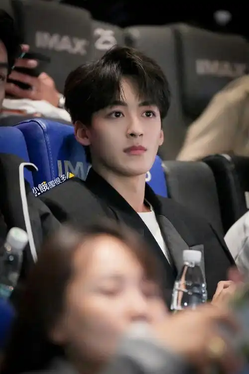 何洛洛出席《欢迎来到麦乐村》首映礼今日份黑色西服出席帅气又可 !!