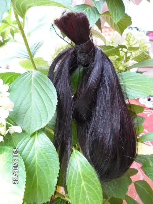 晒晒我的长发藏品28
