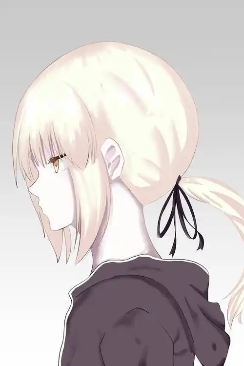 セイバーオルタ|ozil的pixiv人物侧脸插画图片 | bobopic