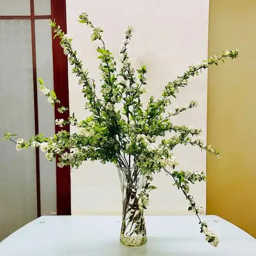 拿07冲洗5分钟十字7015,剥皮5-8公分左右3/2水位瓶插花期10天