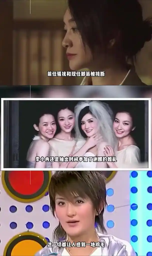 李小冉爆料谢娜弃养宠物:真实人品遭揭露,昔日闺蜜情已破灭 在最近的