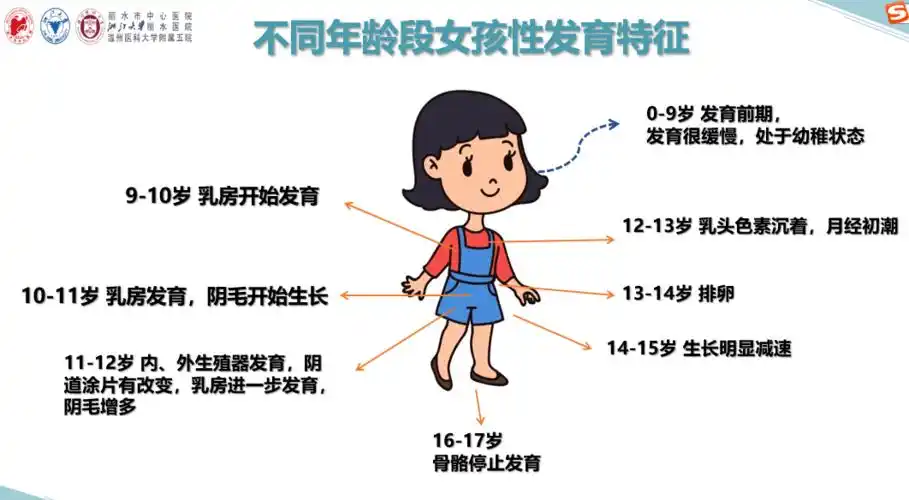 分期,性早熟带来的各种危害和影响,接着针对儿童早发育的影响因素进行