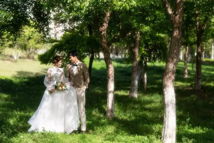 丛林中的爱情最美森系婚纱照