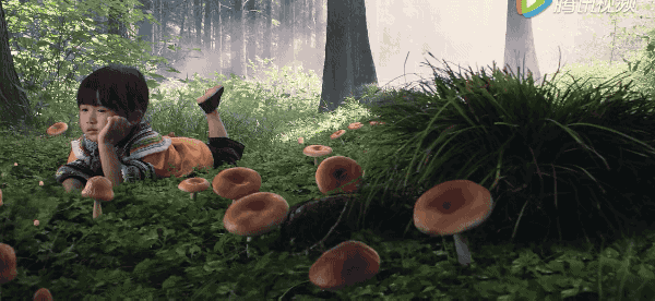 600_276gif 动态图 动图