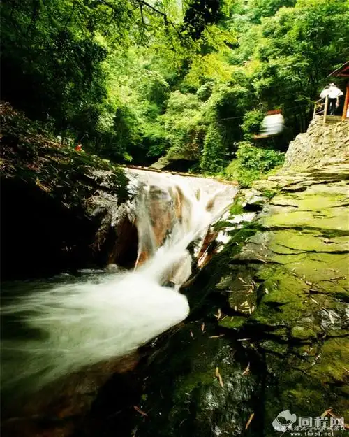 九江旅游产品 >> 桃花溪漂流成人票  原价:￥160 ￥ 148